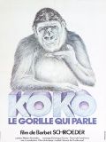 Koko, le gorille qui par.