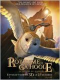 Le Royaume de Ga'Hoole - la légende des gardiens