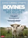 Bovines ou la vraie vie des vaches