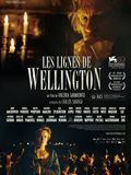 Linhas de Wellington