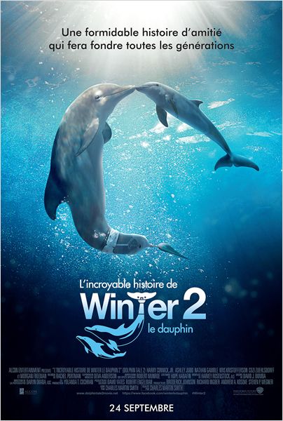 Dolphin Tale 2