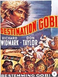 Destination Gobi