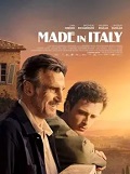 Made in Italy (2020)