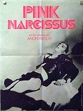 Pink Narcissus