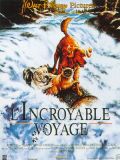 L'Incroyable voyage