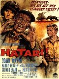 Hatari