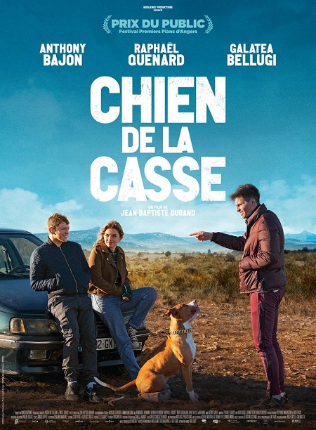 Chien de la casse