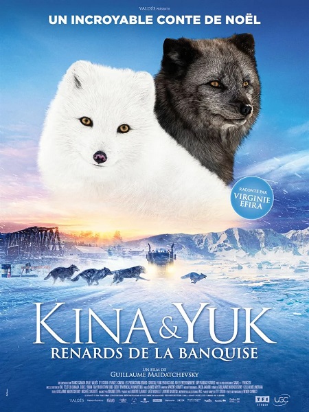 Kina & Yuk : renards de .