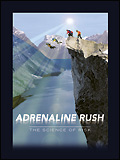 Adrenaline Rush: The Science of Risk