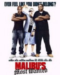 Le Rappeur de Malibu