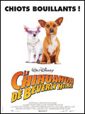 Le Chihuahua de Beverly Hills