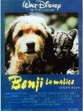 Benji la malice